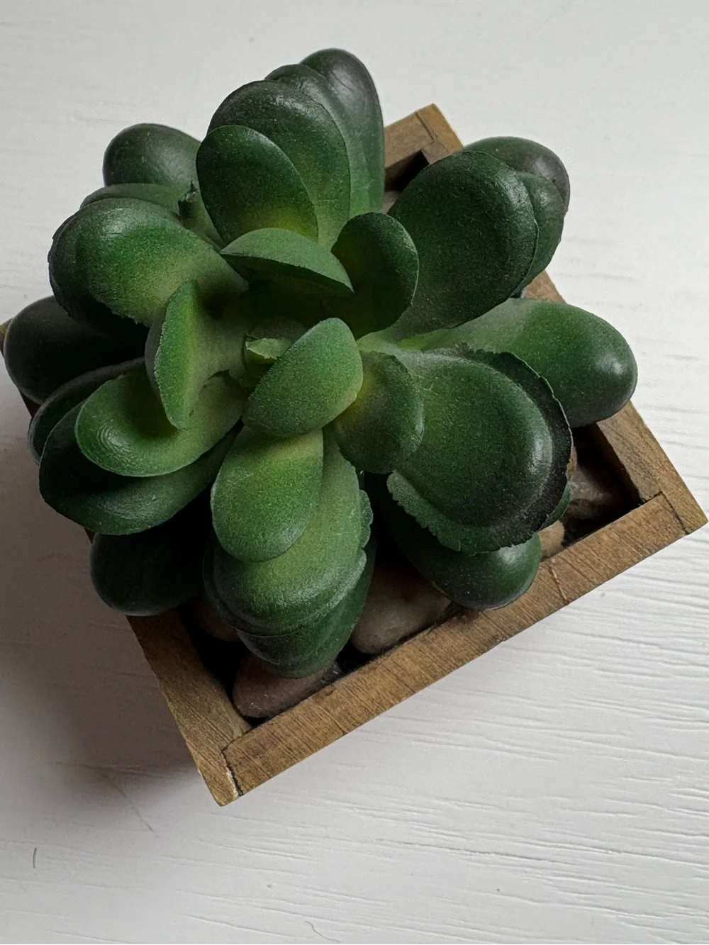 Small Faux Potted Succulent Plant Decor
